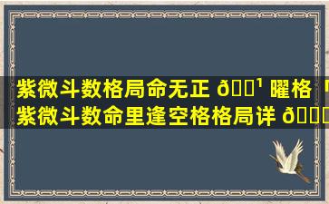 紫微斗数格局命无正 🌹 曜格「紫微斗数命里逢空格格局详 🐅 解」